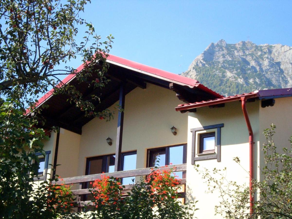 Casa Cu Flori Hotel Buşteni Eksteriør billede