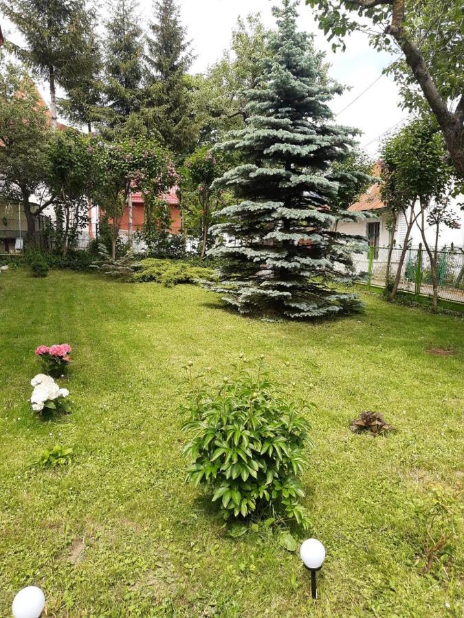 Casa Cu Flori Hotel Buşteni Eksteriør billede