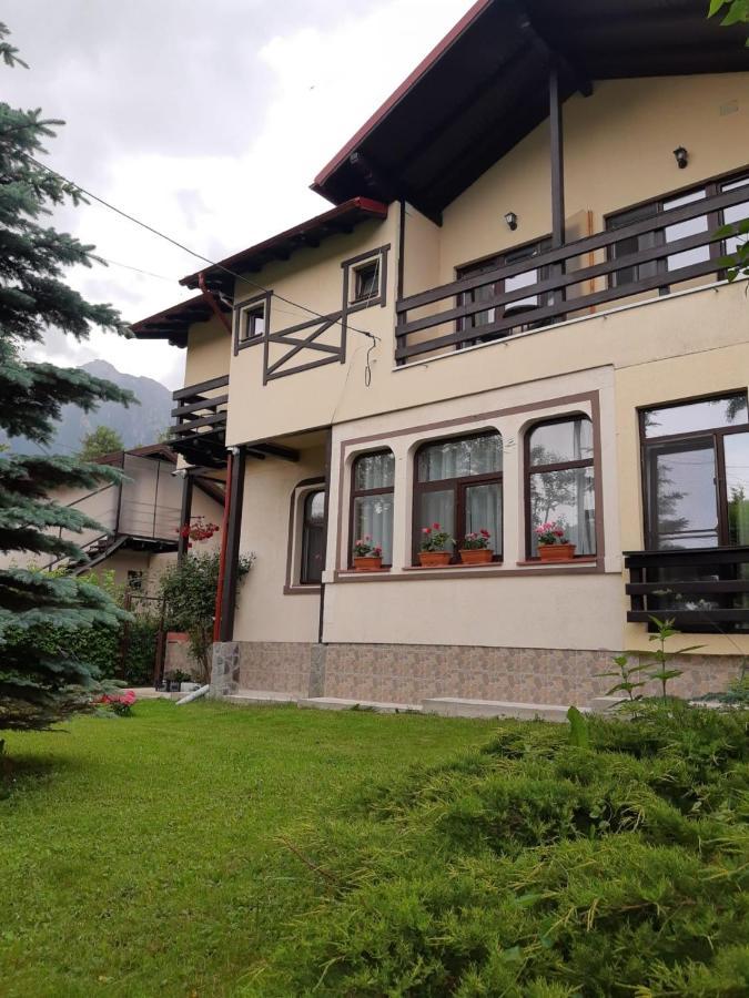 Casa Cu Flori Hotel Buşteni Eksteriør billede