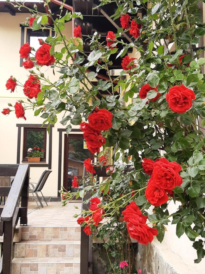 Casa Cu Flori Hotel Buşteni Eksteriør billede