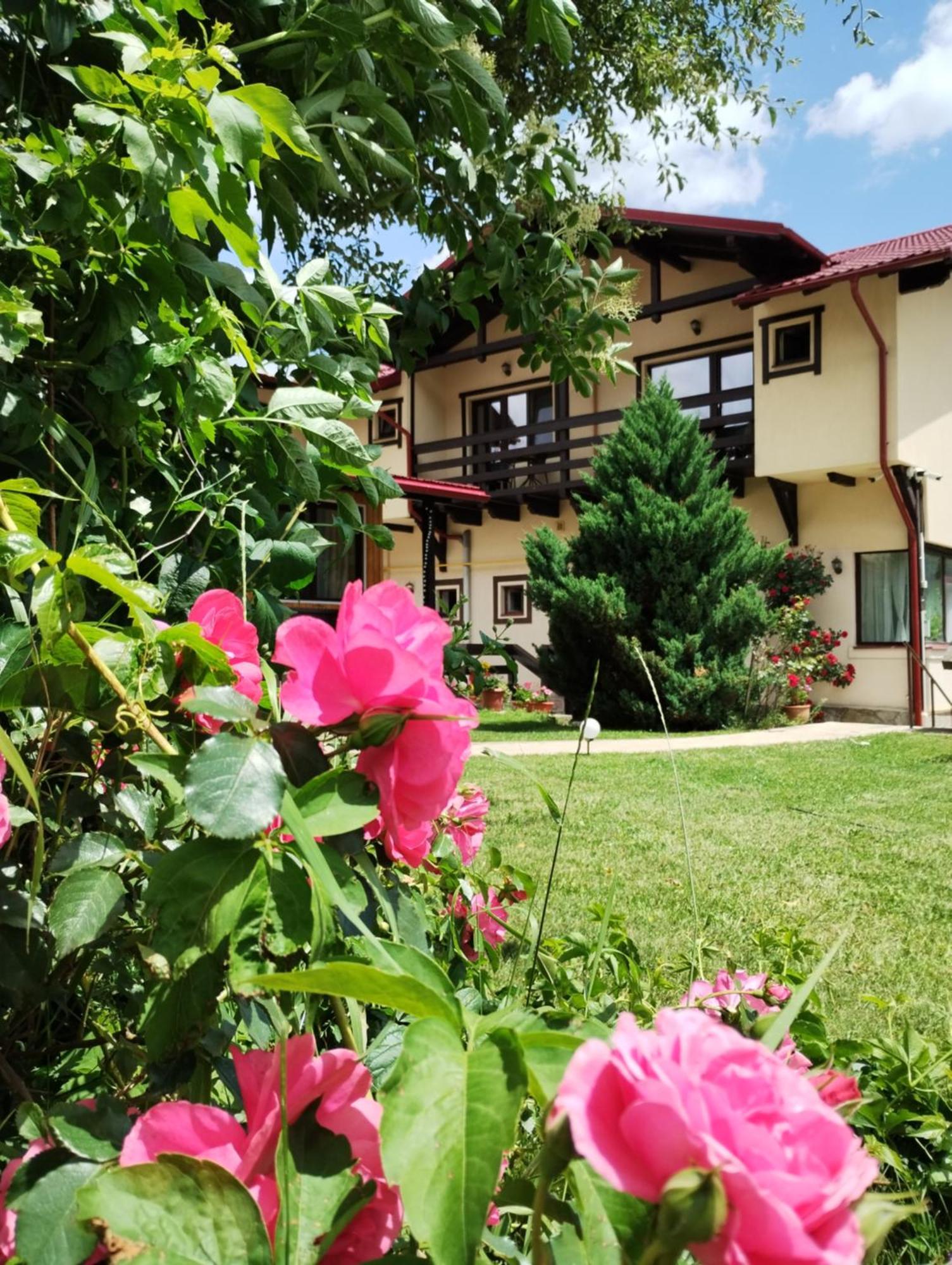 Casa Cu Flori Hotel Buşteni Eksteriør billede